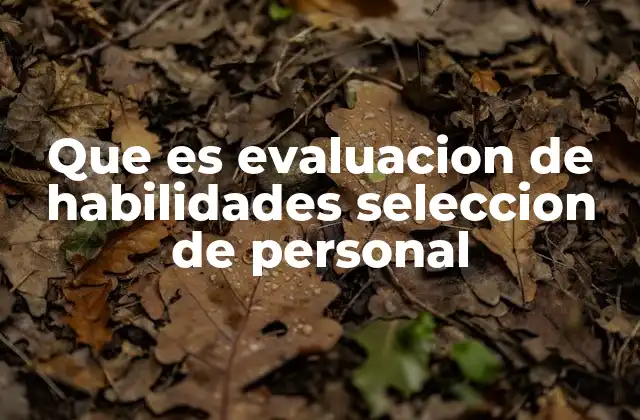 Que es Evaluacion de Habilidades Seleccion de Personal