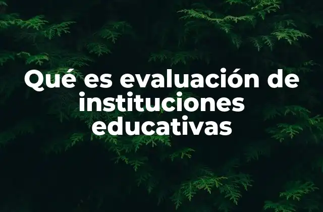 Qué es Evaluación de Instituciones Educativas