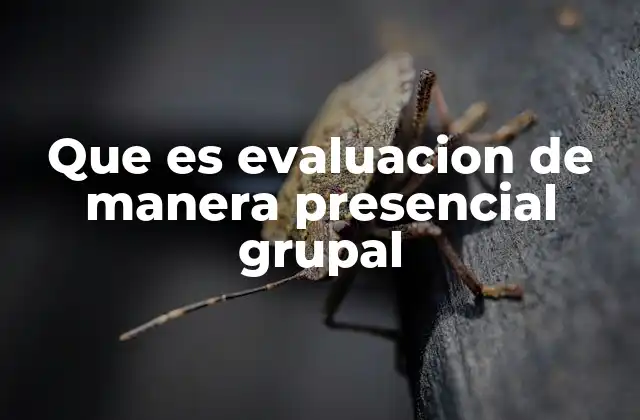La importancia de la interacción en la evaluación grupal