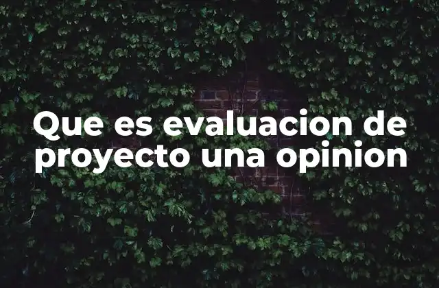 Que es Evaluacion de Proyecto una Opinion