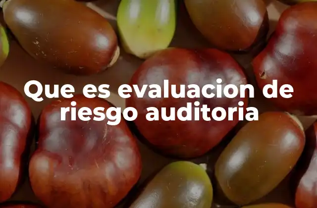 Que es Evaluacion de Riesgo Auditoria