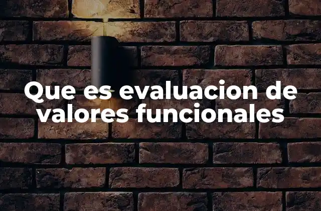 Que es Evaluacion de Valores Funcionales