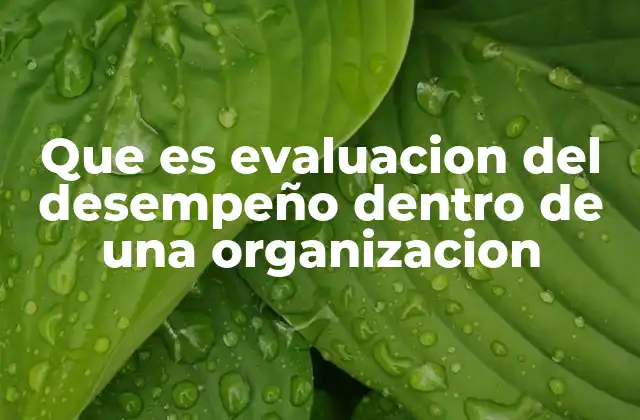 Que es Evaluacion Del Desempeño Dentro de una Organizacion