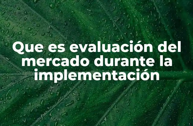 Que es Evaluación Del Mercado durante la Implementación