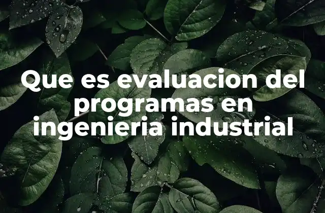 Que es Evaluacion Del Programas en Ingenieria Industrial