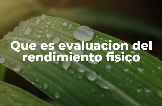 Que es Evaluacion Del Rendimiento Fisico