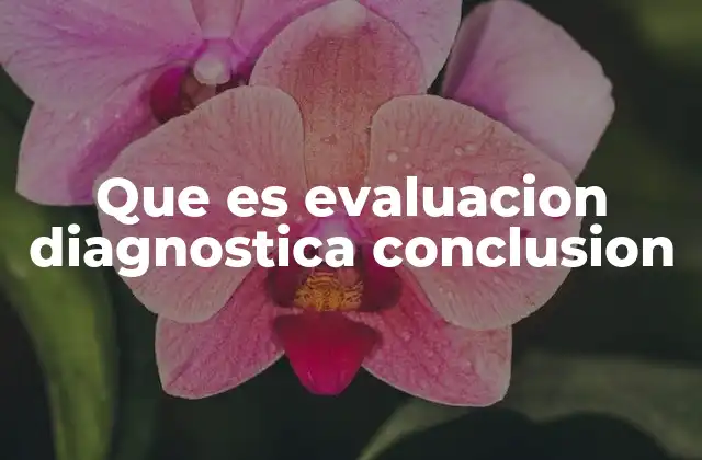 El rol de la evaluación diagnóstica en la planificación educativa