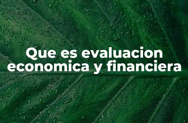 Que es Evaluacion Economica y Financiera