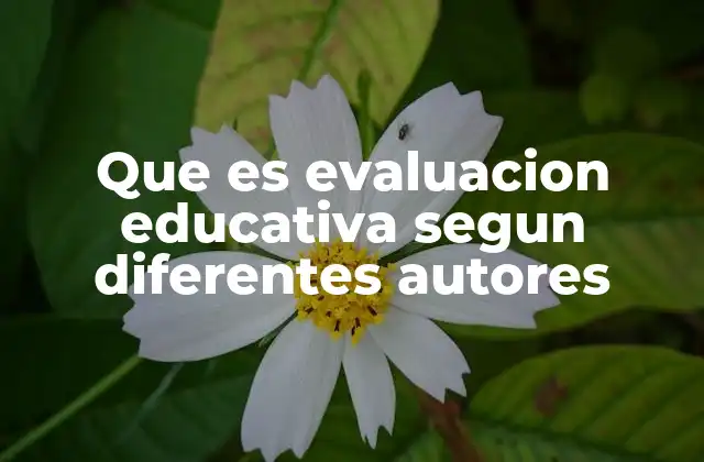 Que es Evaluacion Educativa Segun Diferentes Autores
