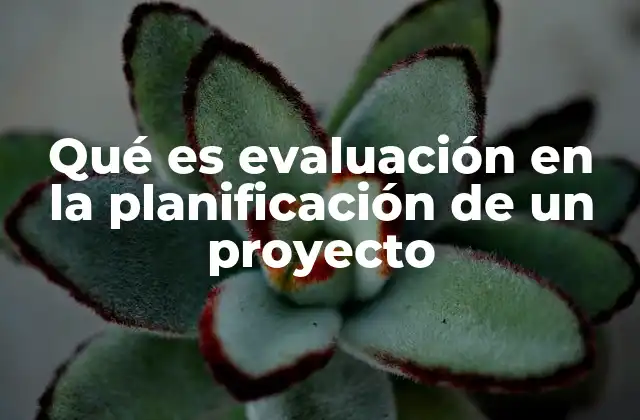 Qué es Evaluación en la Planificación de un Proyecto