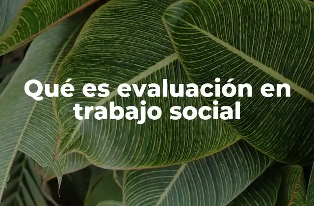 Qué es Evaluación en Trabajo Social
