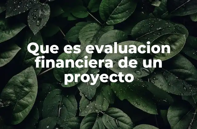 Que es Evaluacion Financiera de un Proyecto