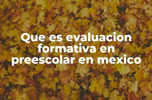 Que es Evaluacion Formativa en Preescolar en Mexico