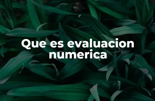 Que es Evaluacion Numerica
