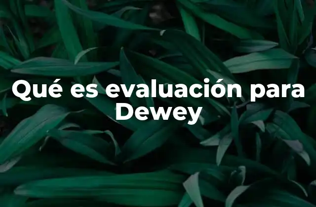 Qué es Evaluación para Dewey