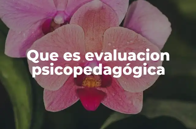 Que es Evaluacion Psicopedagógica