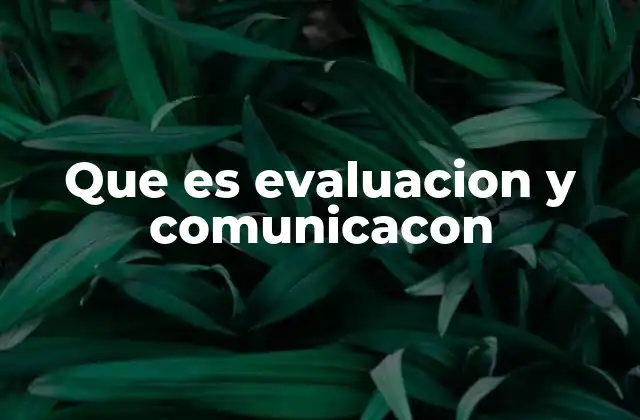 Que es Evaluacion y Comunicacon 2 La importancia de una evaluación efectiva