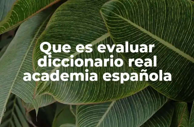 Que es Evaluar Diccionario Real Academia Española 2 El papel de la evaluación en distintos ámbitos sociales