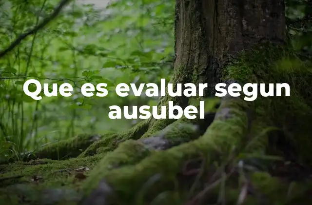 Que es Evaluar Segun Ausubel 2 El papel de la evaluación en el aprendizaje significativo