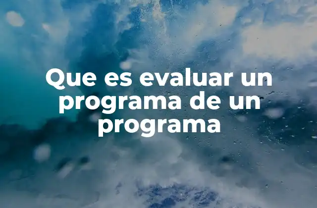 Que es Evaluar un Programa de un Programa