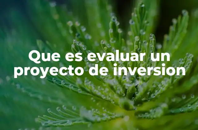 Que es Evaluar un Proyecto de Inversion