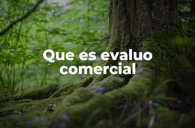 Que es Evaluo Comercial 2 Cómo la tecnología transforma la gestión del talento comercial