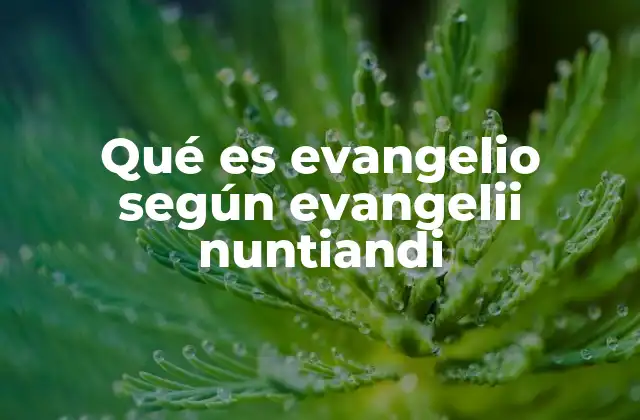 Qué es Evangelio según Evangelii Nuntiandi 2 La importancia del evangelio en la vida cristiana según Evangelii Nuntiandi