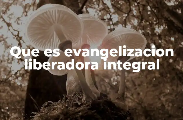 Que es Evangelizacion Liberadora Integral