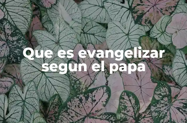 La evangelización como testimonio de vida cristiana