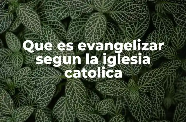 Que es Evangelizar Segun la Iglesia Catolica