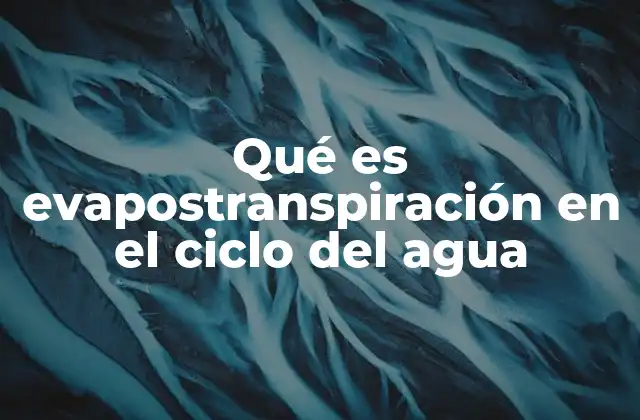 Qué es Evapostranspiración en el Ciclo Del Agua