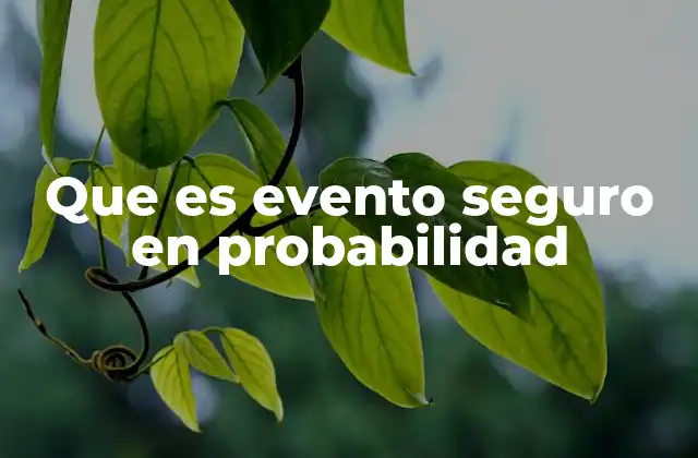 Que es Evento Seguro en Probabilidad