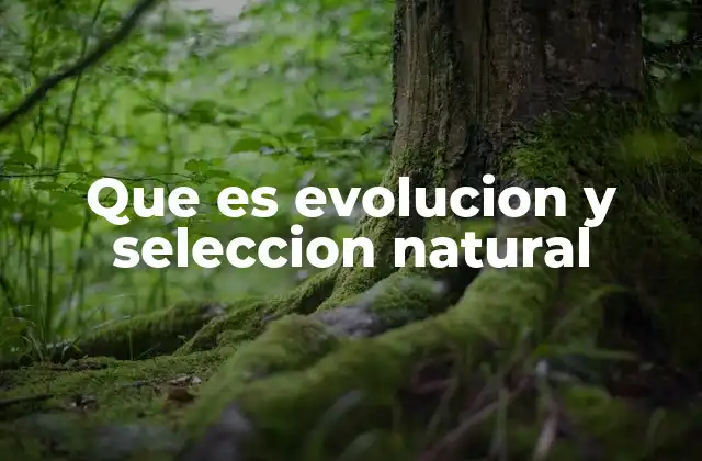 Que es Evolucion y Seleccion Natural