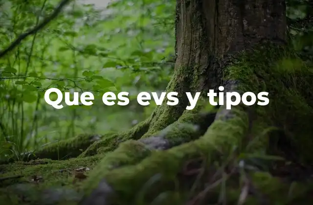 Que es Evs y Tipos