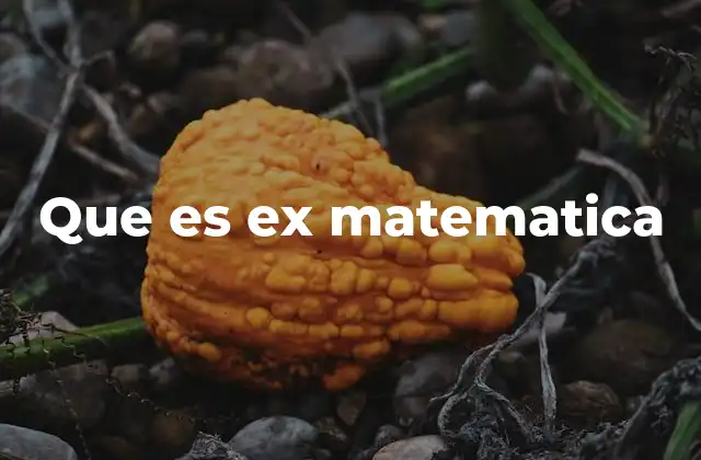 Que es Ex Matematica