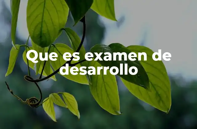 Que es Examen de Desarrollo