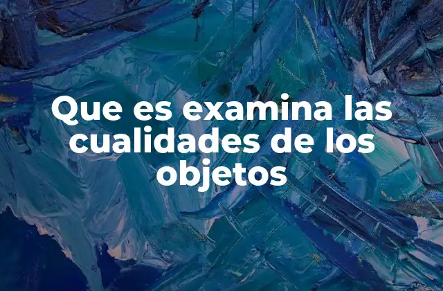 Que es Examina las Cualidades de los Objetos 2 La importancia de analizar las características de los elementos
