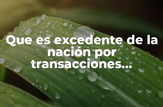 Que es Excedente de la Nación por Transacciones Corrientes