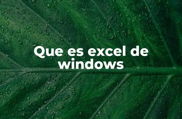 Que es Excel de Windows