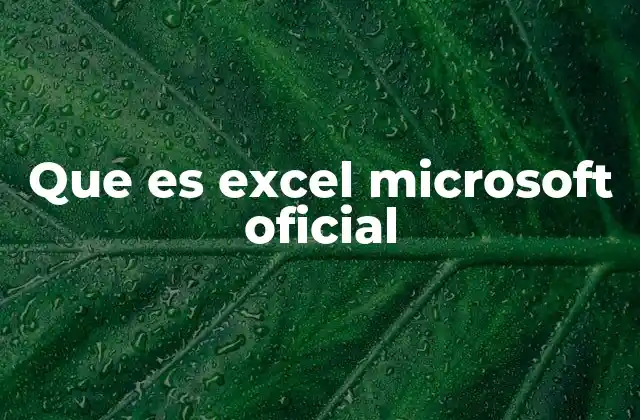 Microsoft Excel como herramienta esencial en la toma de decisiones