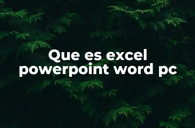 Que es Excel Powerpoint Word Pc