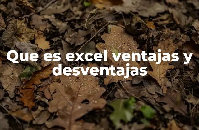 Que es Excel Ventajas y Desventajas