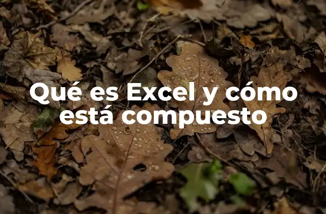 Elementos básicos que conforman la interfaz de Excel