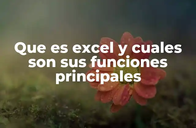 Que es Excel y Cuales Son Sus Funciones Principales