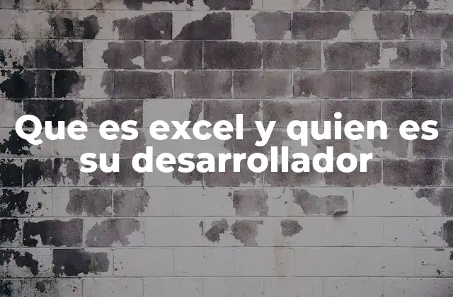 Que es Excel y Quien es Su Desarrollador