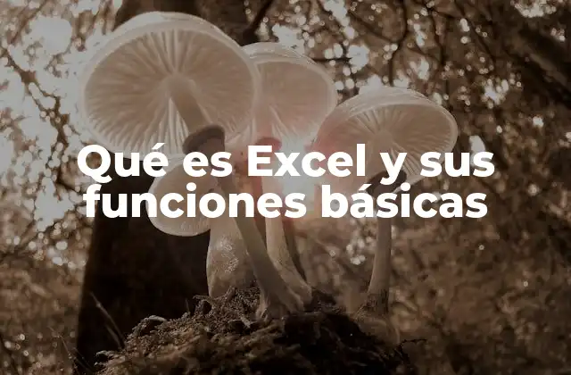 Qué es Excel y Sus Funciones Básicas