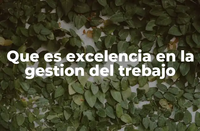 Que es Excelencia en la Gestion Del Trebajo