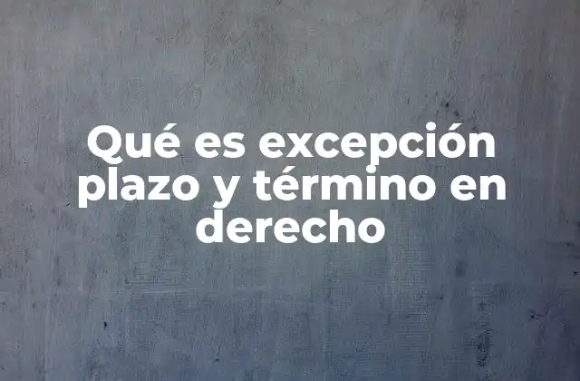 Qué es Excepción Plazo y Término en Derecho