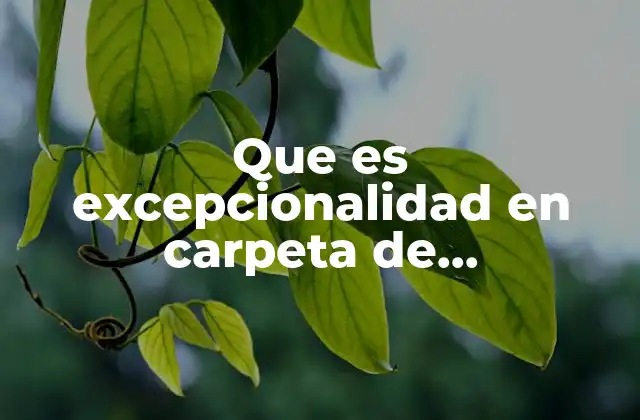 Que es Excepcionalidad en Carpeta de Investigacion