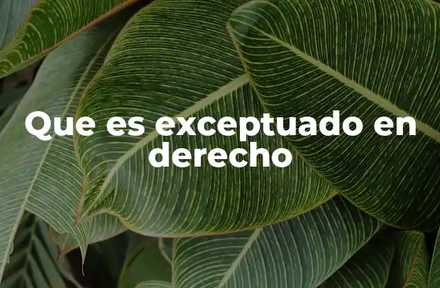 Que es Exceptuado en Derecho